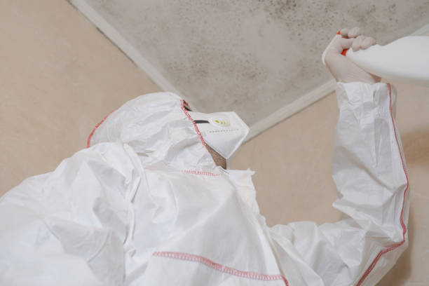 Best Toxic Mold Removal  in Coral Hills, MD